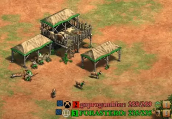 AoE2:DE Screenshot of a 1v1